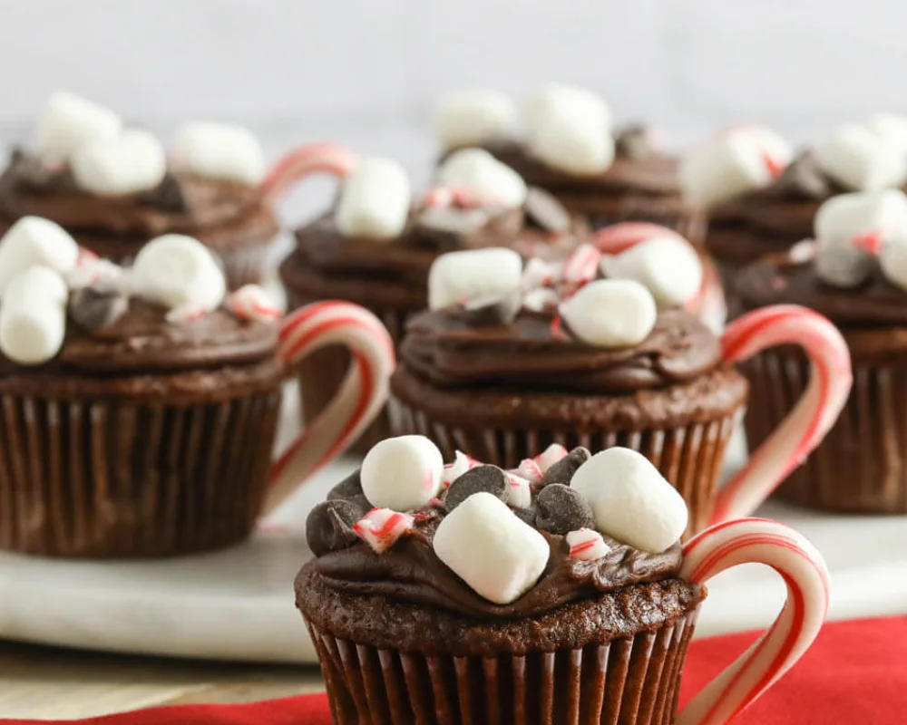 hot chocolate cake in a mug recipe
