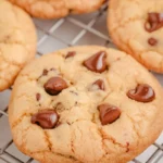 disney world grand floridian chocolate chip cookie recipe