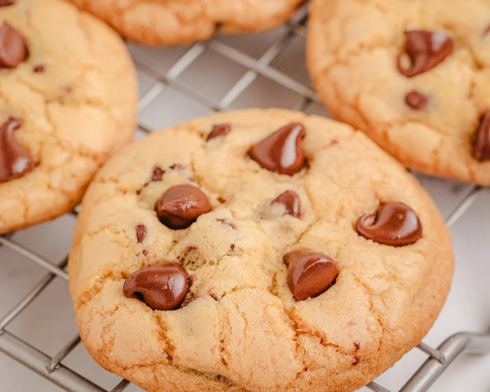 disney world grand floridian chocolate chip cookie recipe
