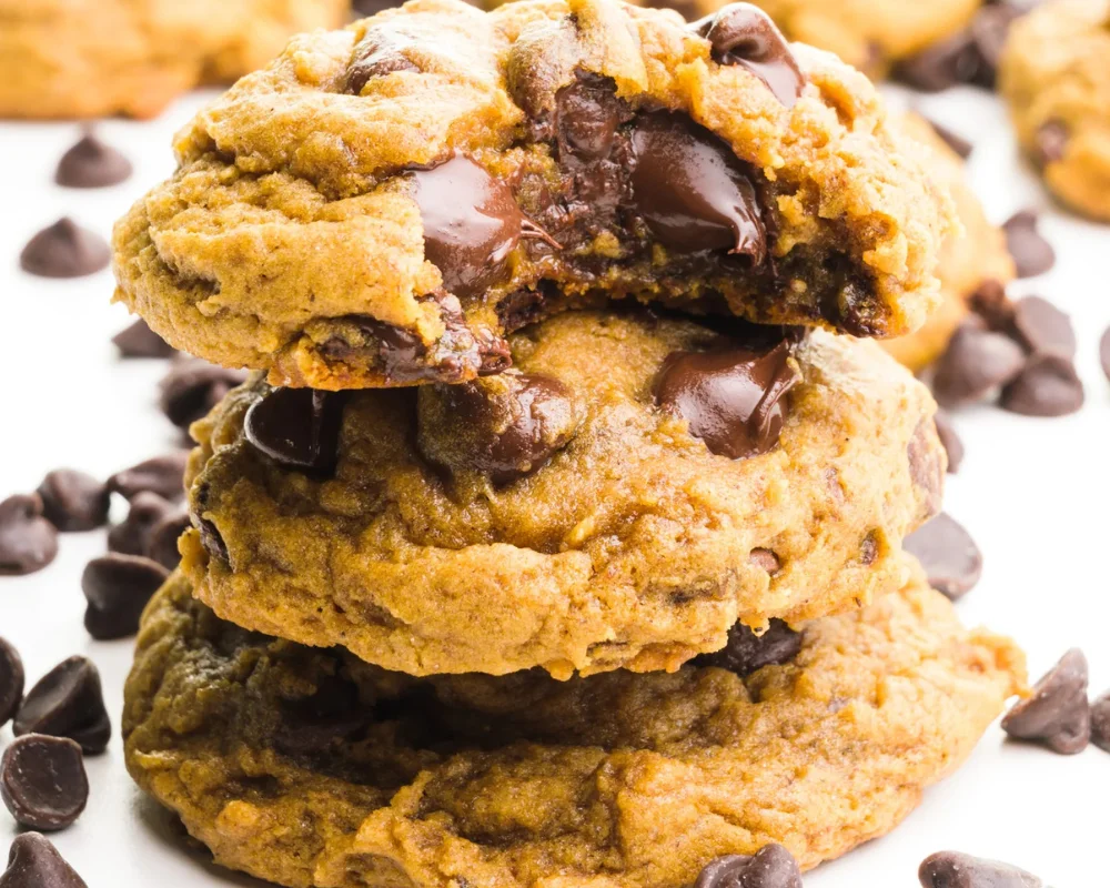 chocolate chip cookie recipe with molasses
