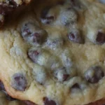 otis spunkmeyer chocolate chip cookie recipe