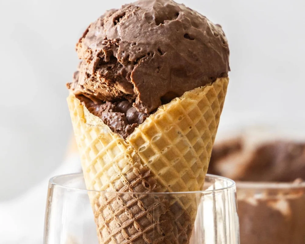 Chocolate Chocolate Chip Ice Cream Recipe